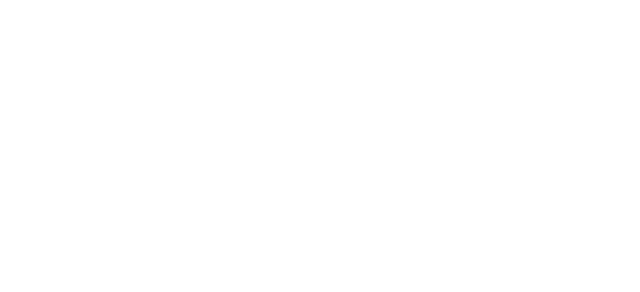 The Walt Disney Company